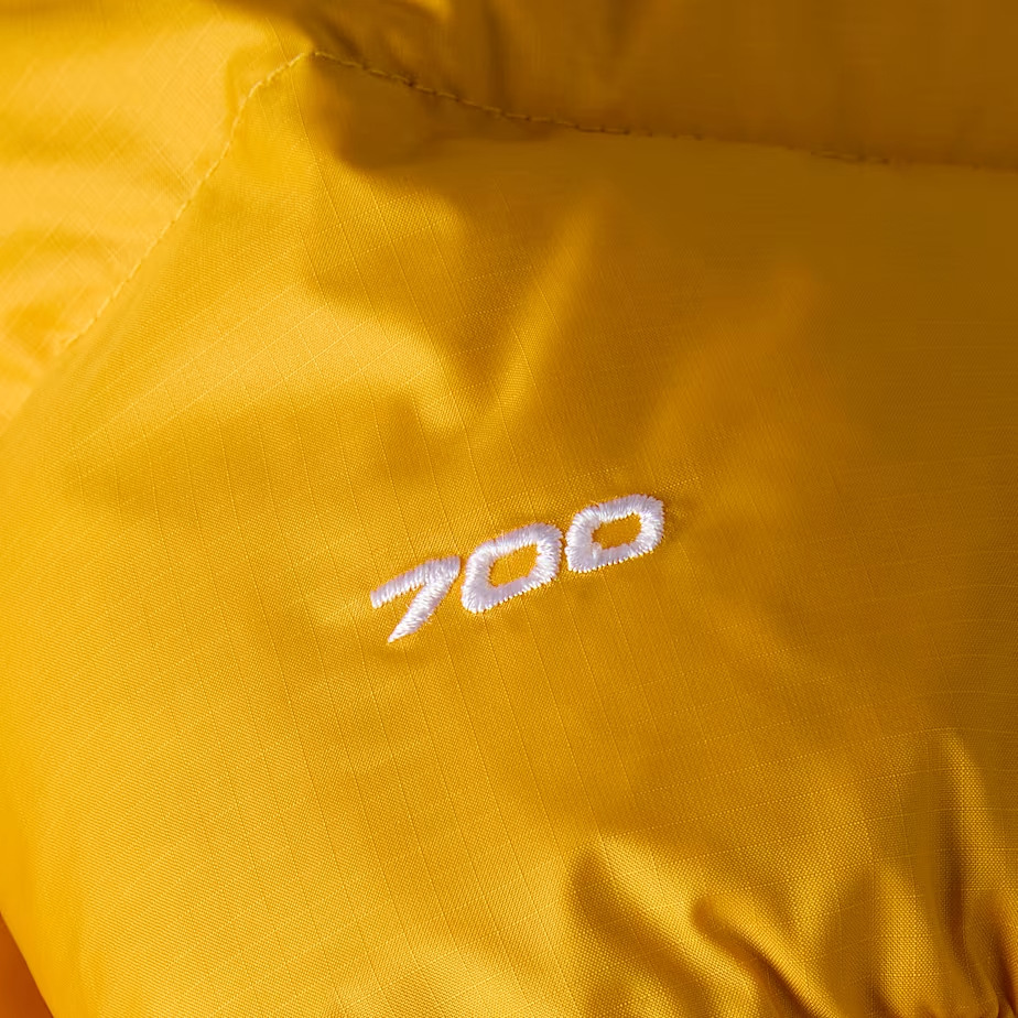 Veste 1996 Retro Nuptse pour