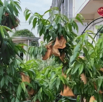 1aa9918221fb81cb2876c721ebb7011a.gif