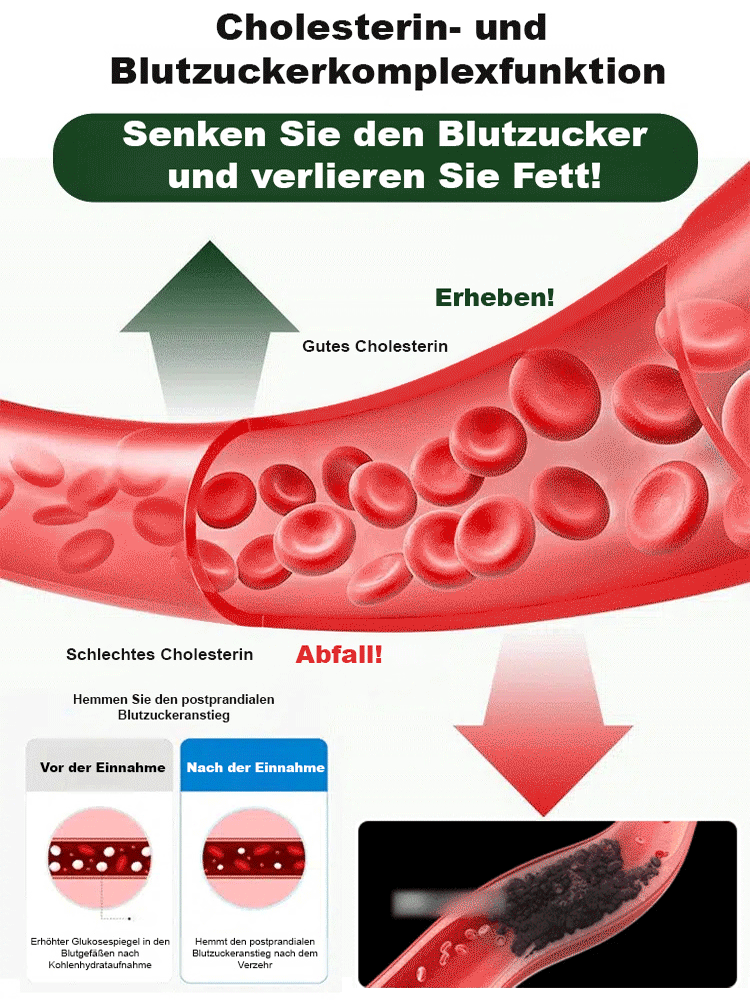 Schwarzer Sesam-Cranberry-Geschmack Feigenkuchen