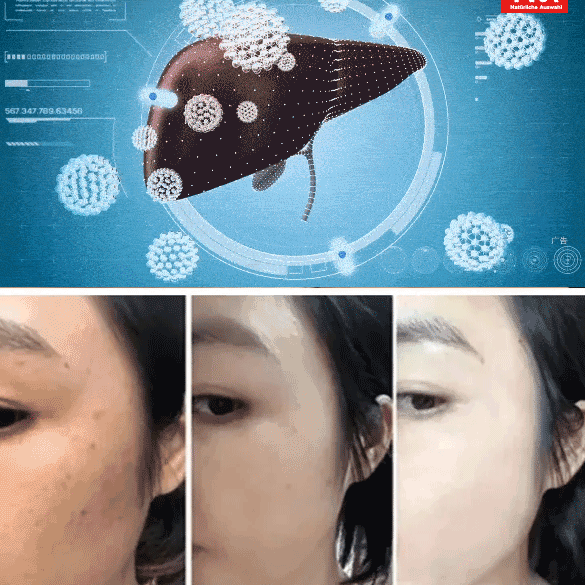 Reishi-Kudzu Leber Schutz Tabletten – Starke Leberreinigung