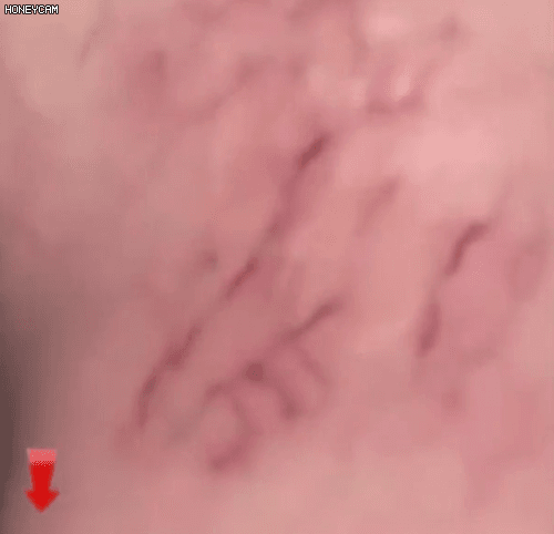 Honeycam 2026-06-08 18-20-56.gif