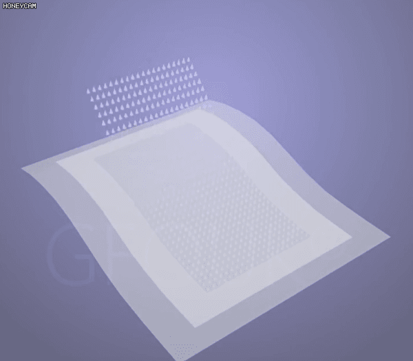Honeycam 2026-06-08 18-25-45.gif