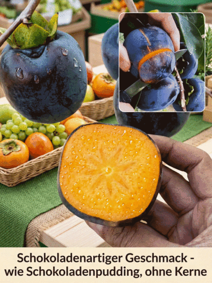 Schokoladen-schwarze Persimonensprossen