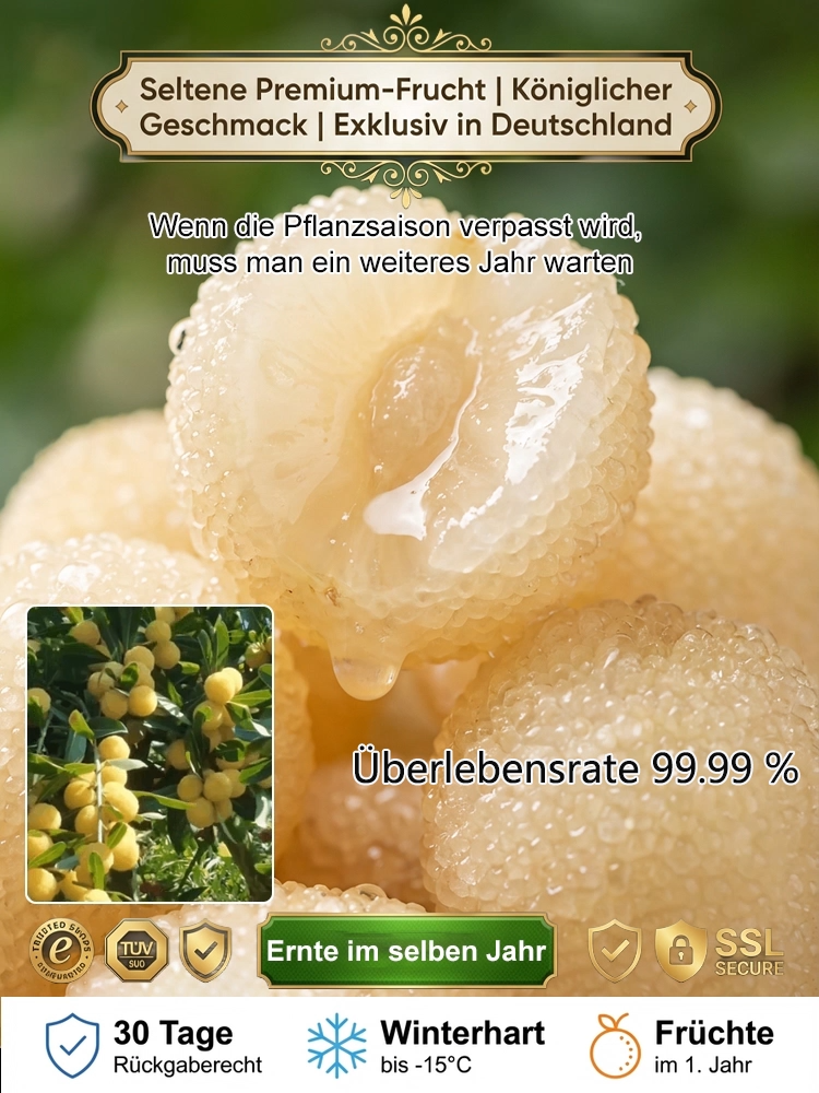 🌿Bio-zertifiziert, fruchtig süß und saftig, Vitamin-C-Gehalt weit über dem von Erdbeeren