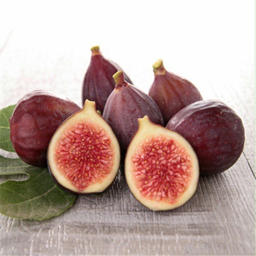 Griechische Import-Feigenbaum – Frische Früchte für den täglichen Genuss