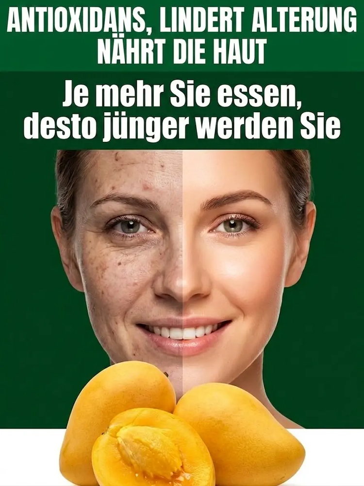 [1-2 Jahre Ergebnisse] Nicht-GVO-zwergveredelte Mangosetzlinge