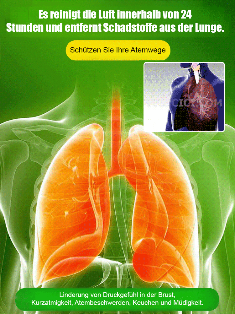 【Wenn das Glück sich wendet】Wasserpflege für Glücksbambus