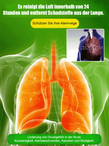 【Wenn das Glück sich wendet】Wasserpflege für Glücksbambus