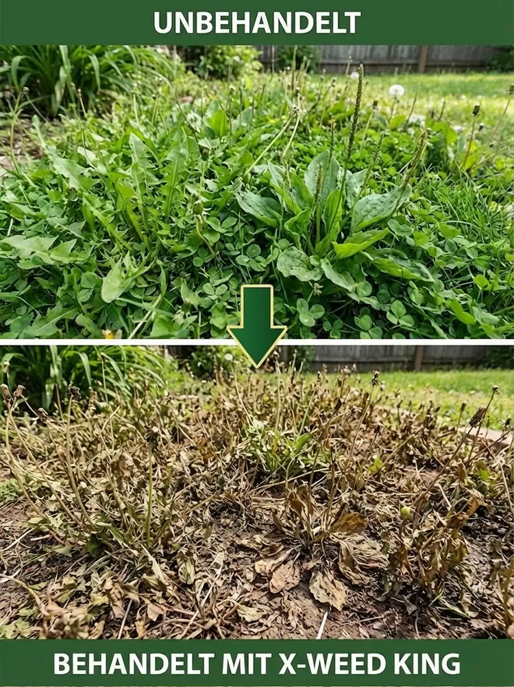 详情图_10.png