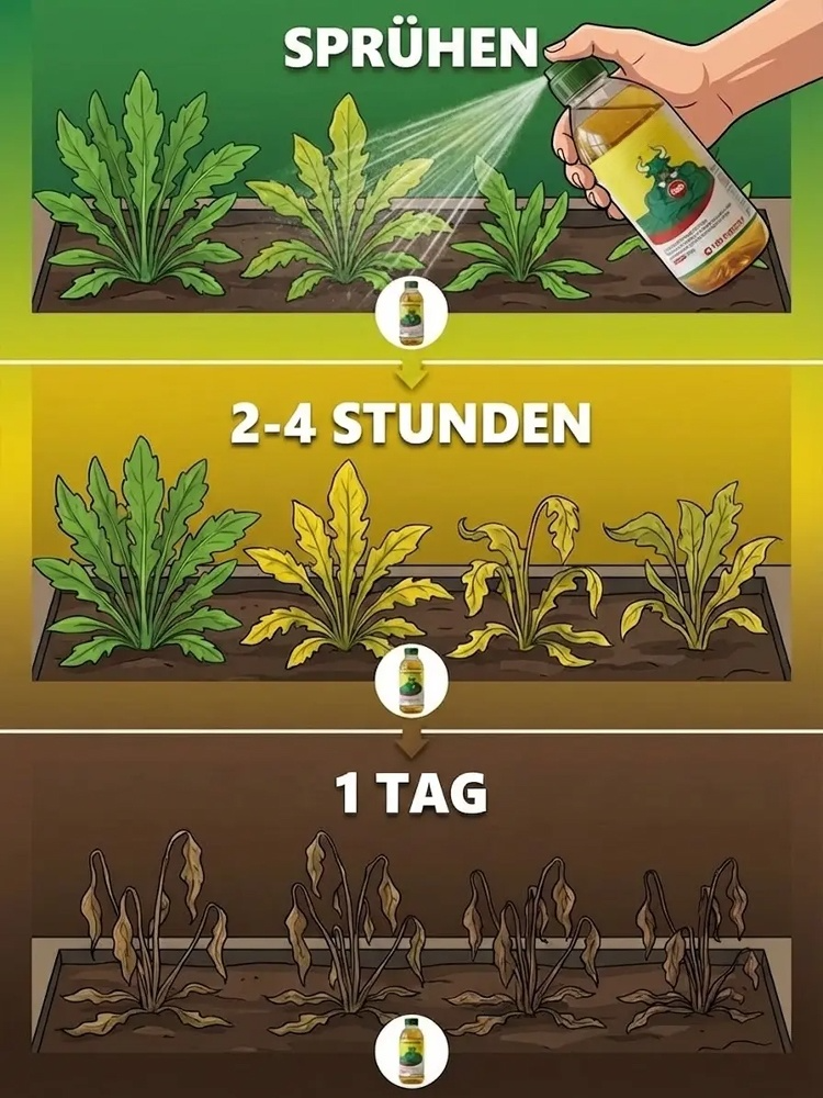 Hochleistungs-Unkrautvernichter | 24h Wurzelvernichtung & 100% Bio