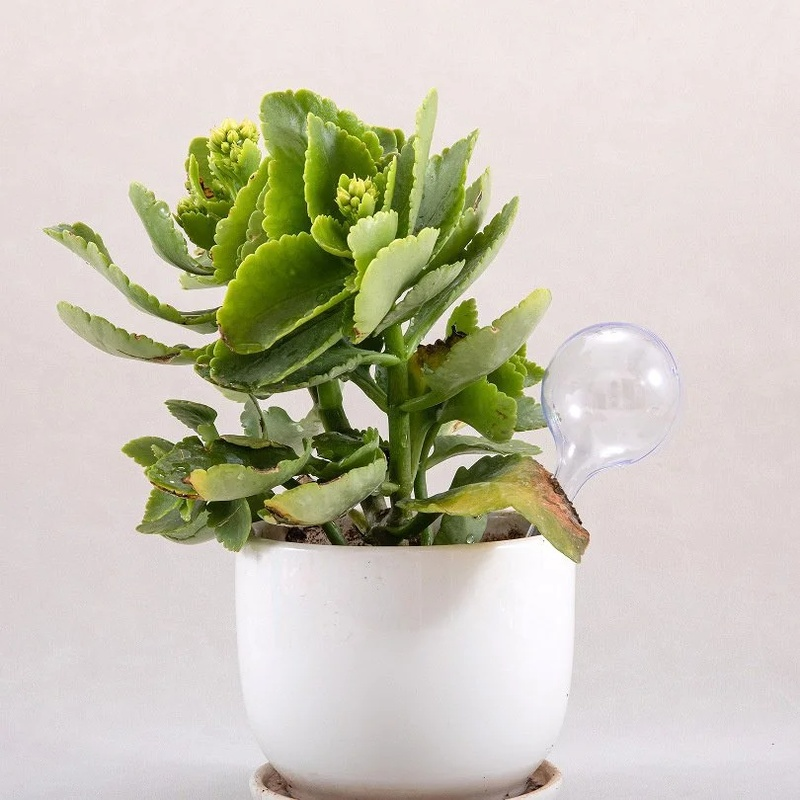 Transparente Kugelwässer