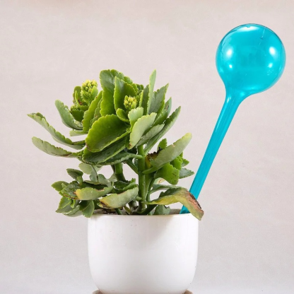 Transparente Kugelwässer