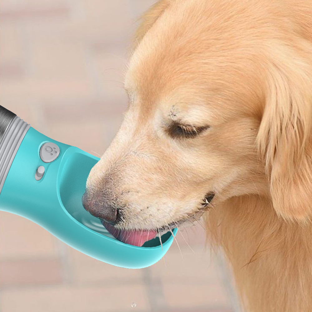 Doppelwandige Edelstahl-Wasserflasche für Hunde und Haustiere