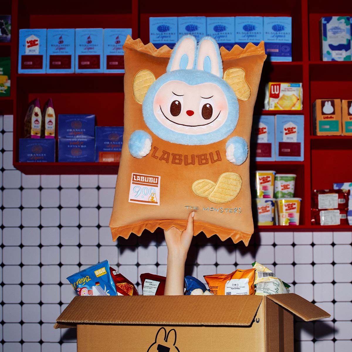 THE MONSTERS LABUBU Wacky Mart Series-Pillow (Chips)