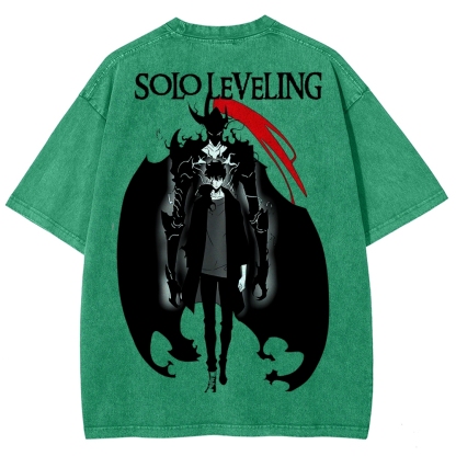 solo leveling Unisex Fit Washed T-Shirt