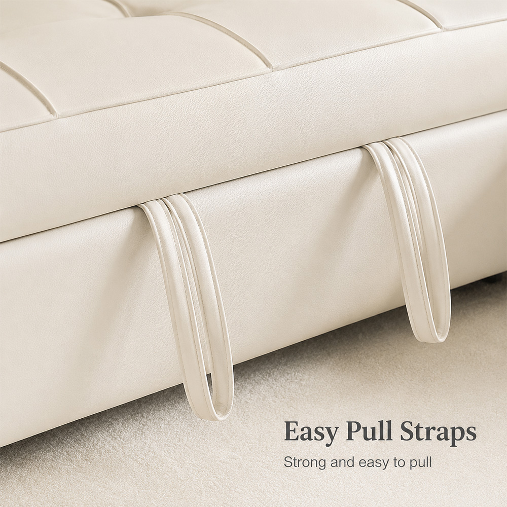 Convertible Pull Out 2 Seater Sleeper Sofa Bed