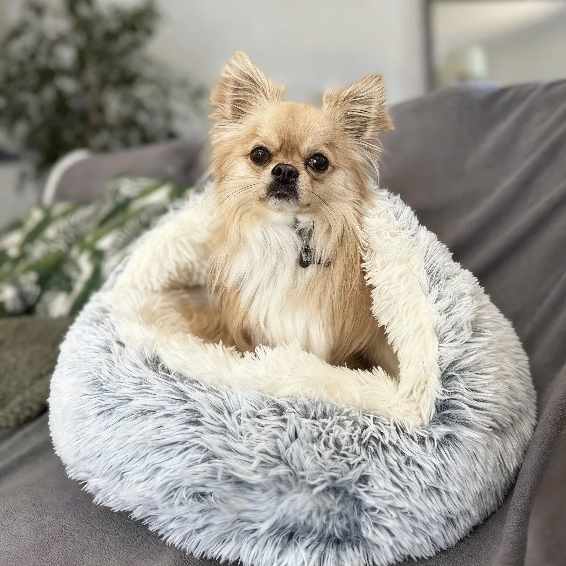 Fluffy Hooded Dog Bed: Warm Plush Cave for Small Pets