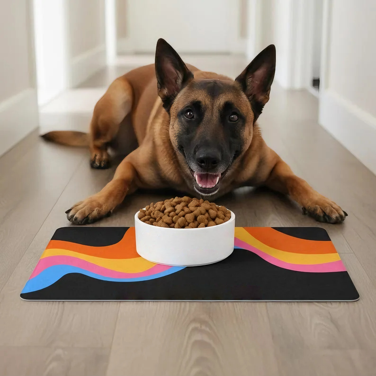 Custom Retro Pet Food Mat, Personalized Dog Cat Feeding Mat With Name