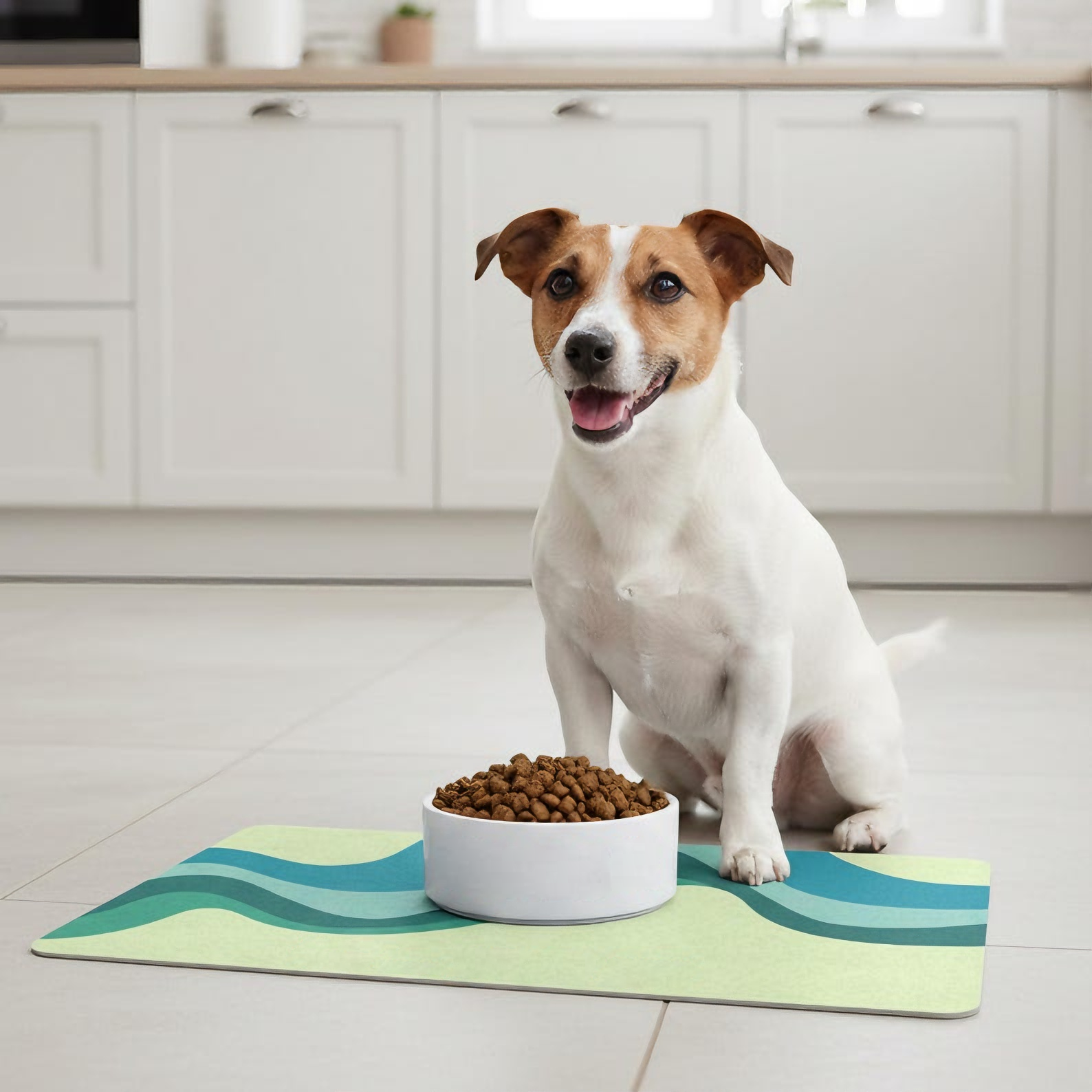 Custom Retro Pet Food Mat, Personalized Dog Cat Feeding Mat With Name