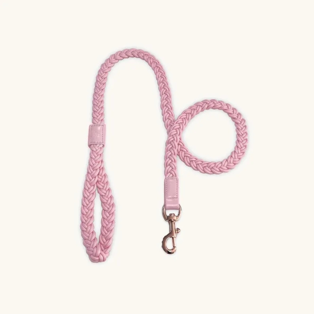 Baby Pink Plaited Rope Dog Leash for Puppy Cat