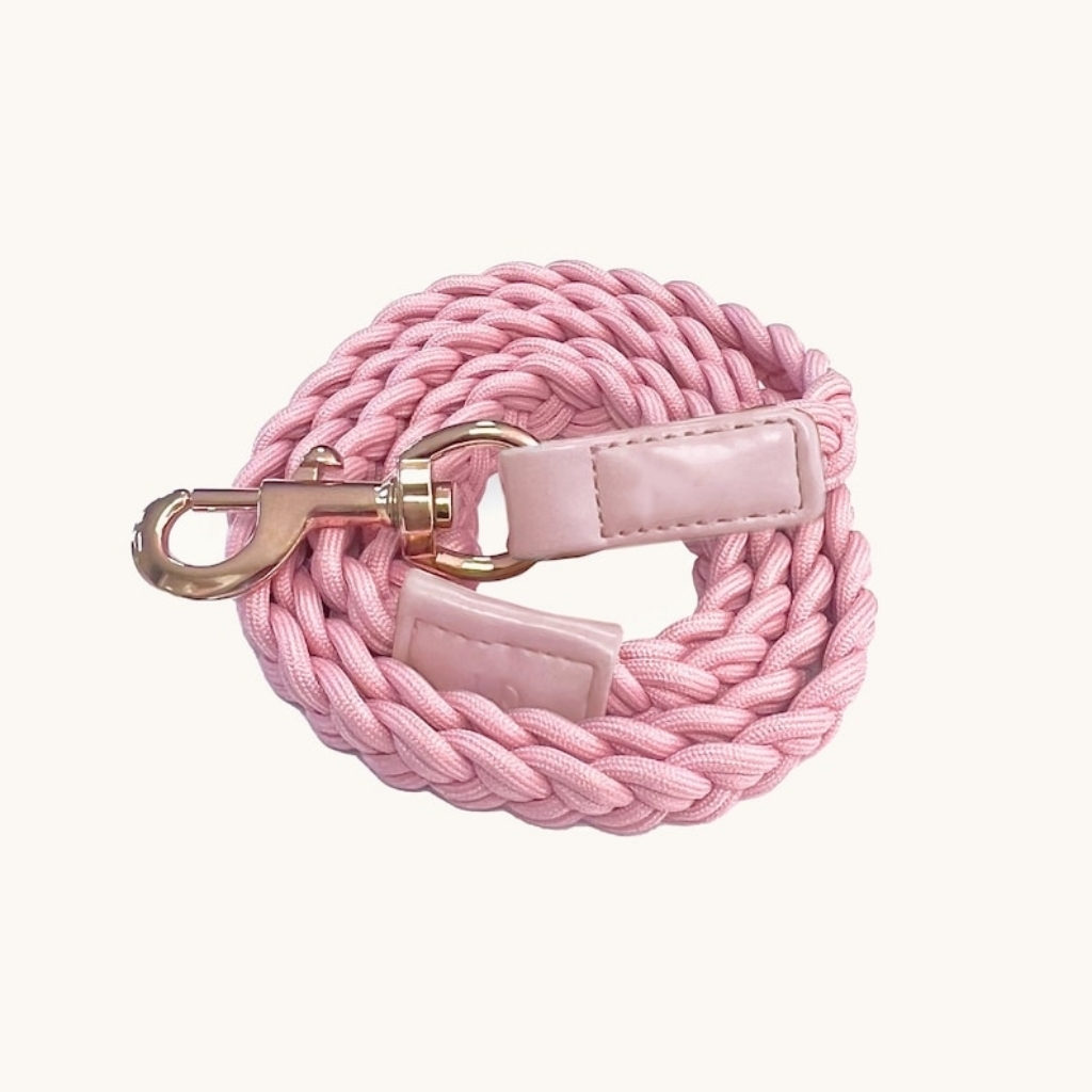 Baby Pink Plaited Rope Dog Leash for Puppy Cat