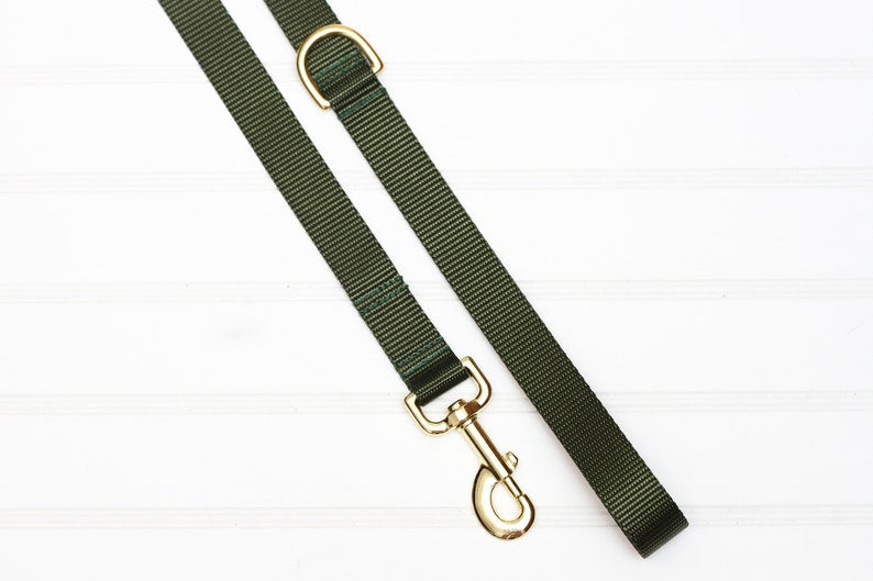Dog Leash - Webbing, Heavy Duty, Olive, Burgundy, Charcoal Gray, Gold Hardware
