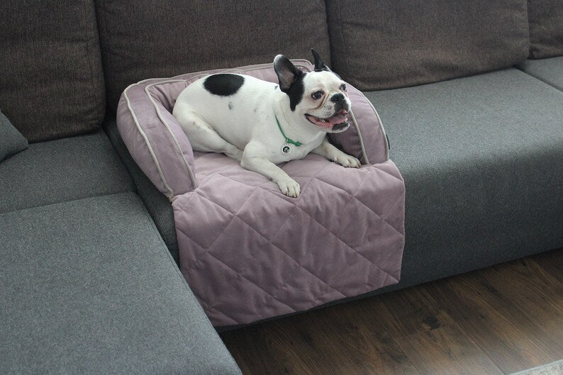 Furniture Velor Dog Sofa Bed | Small Breed Pet Couch