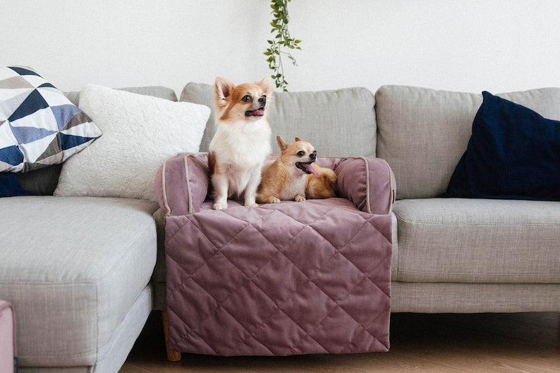 Furniture Velor Dog Sofa Bed | Small Breed Pet Couch