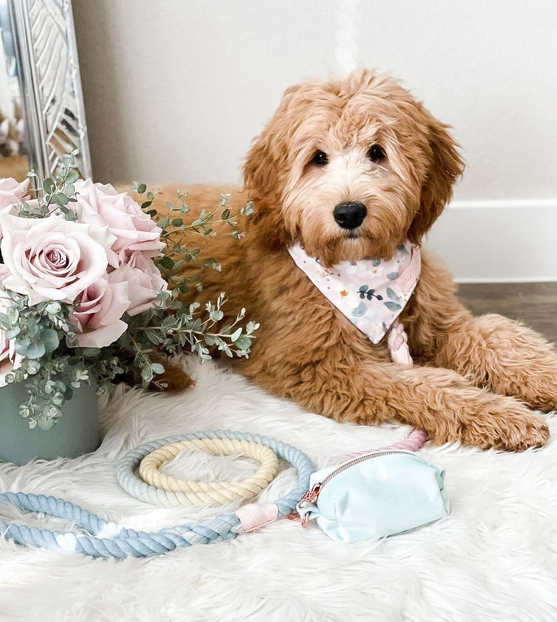 Cotton Candy Ombre Dog Rope Leash