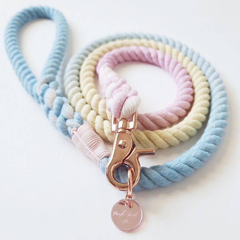 Cotton Candy Ombre Dog Rope Leash