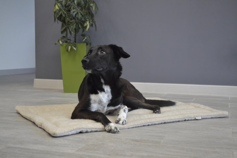 Unique HEMP pet mat carpet filled HEMP Fiber/dog mat pad/ cat mat/organic dog mat pad/organic cat/ pet blanket