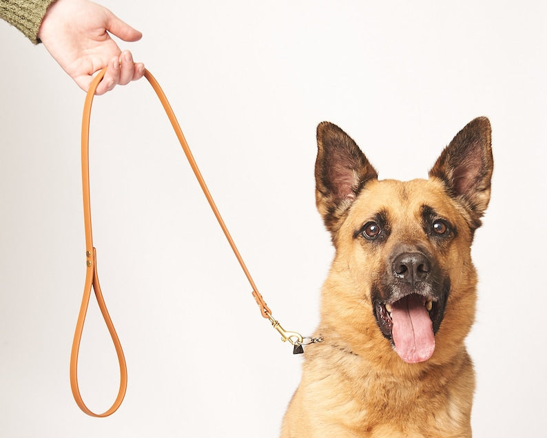 Standard 3 Foot Dog Leash: 1/2" Waterproof Biothane with Custom Colors and Hardware