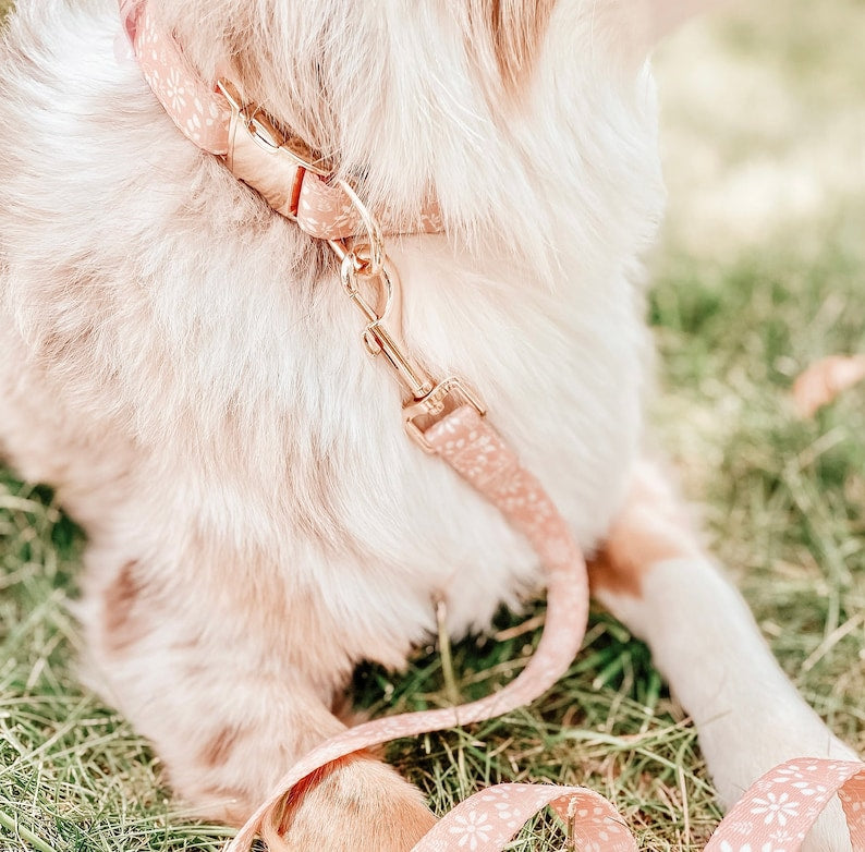 Brown Boho Dog Leash Boy-Girl, Cute Dog Leash, Brown Dog Accessory, Flower Stylish Pattern, Soft And Durable Dog Leash Boy