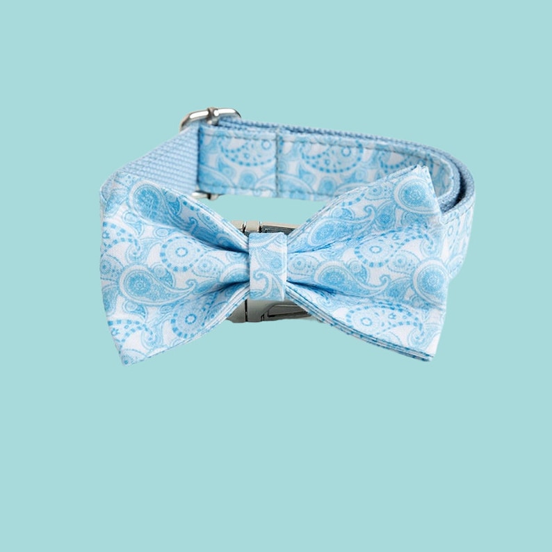 Personalized Dog Collar with Leash Set: Engraved Buckle, Custom Puppy ID