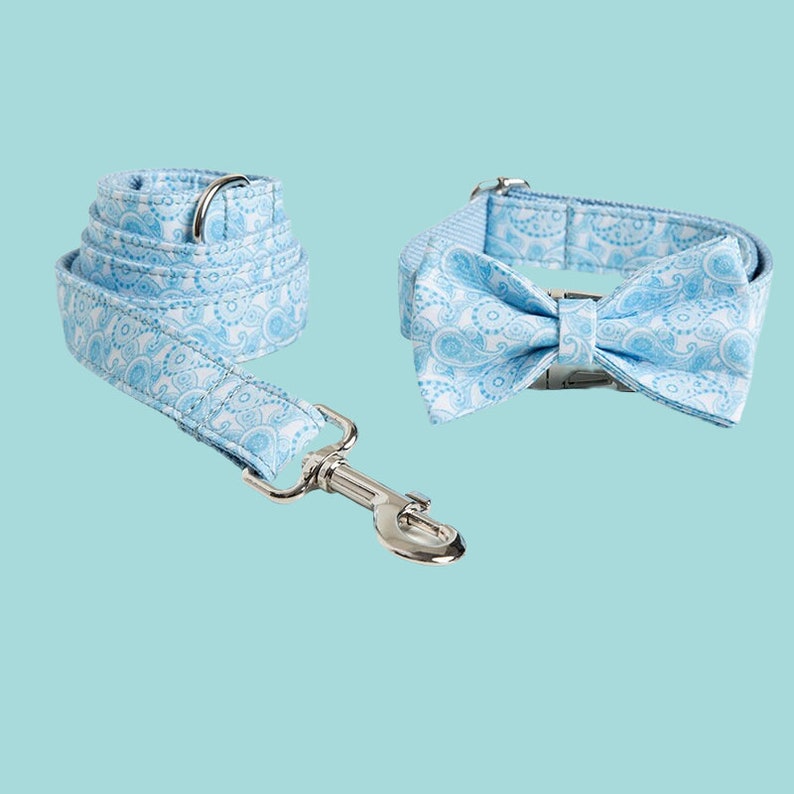 Personalized Dog Collar with Leash Set: Engraved Buckle, Custom Puppy ID