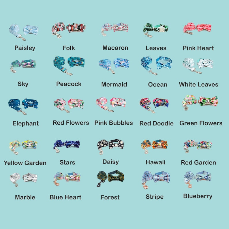 Personalized Dog Collar with Leash Set: Engraved Buckle, Custom Puppy ID