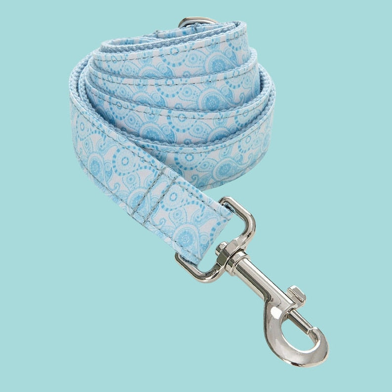 Personalized Dog Collar with Leash Set: Engraved Buckle, Custom Puppy ID