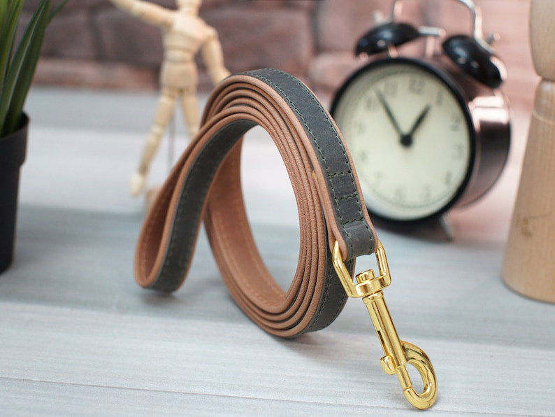 Leather Dog Leash, 5 Foot Dog Leash with Handle, Personalized Dog Leash for Boy Girl Dogs, Durable Leather Dog Lead with Name, Puppy Leash