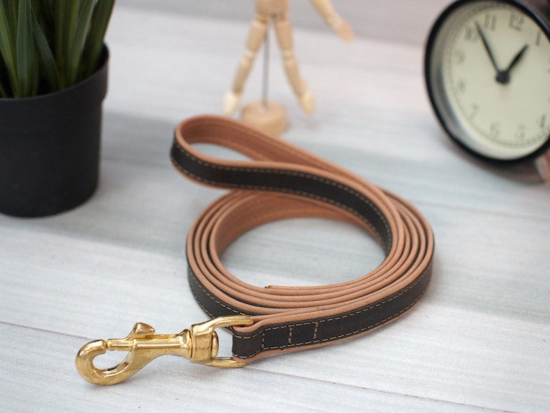 Leather Dog Leash, 5 Foot Dog Leash with Handle, Personalized Dog Leash for Boy Girl Dogs, Durable Leather Dog Lead with Name, Puppy Leash