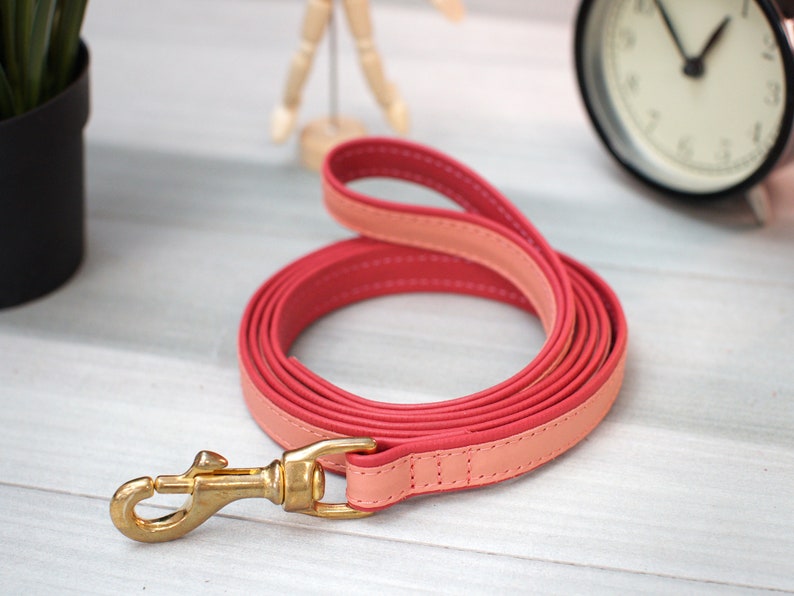 Leather Dog Leash, 5 Foot Dog Leash with Handle, Personalized Dog Leash for Boy Girl Dogs, Durable Leather Dog Lead with Name, Puppy Leash