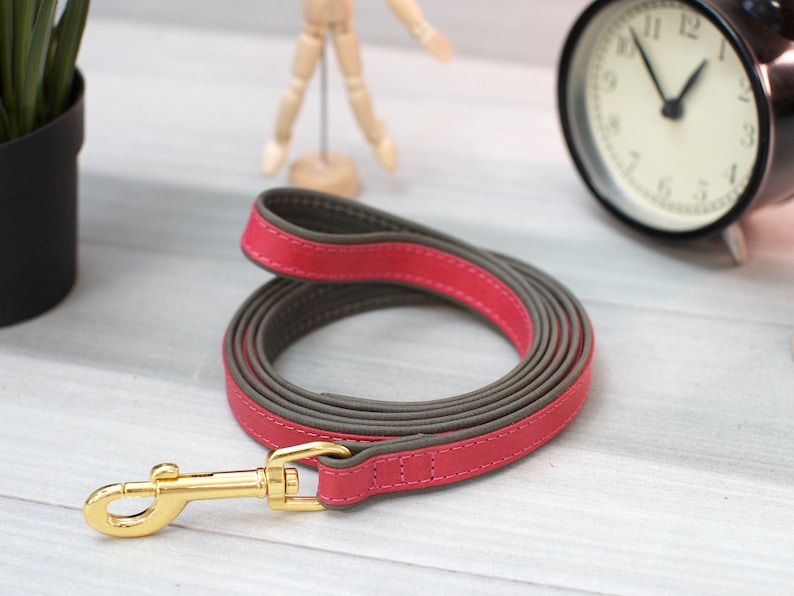 Leather Dog Leash, 5 Foot Dog Leash with Handle, Personalized Dog Leash for Boy Girl Dogs, Durable Leather Dog Lead with Name, Puppy Leash