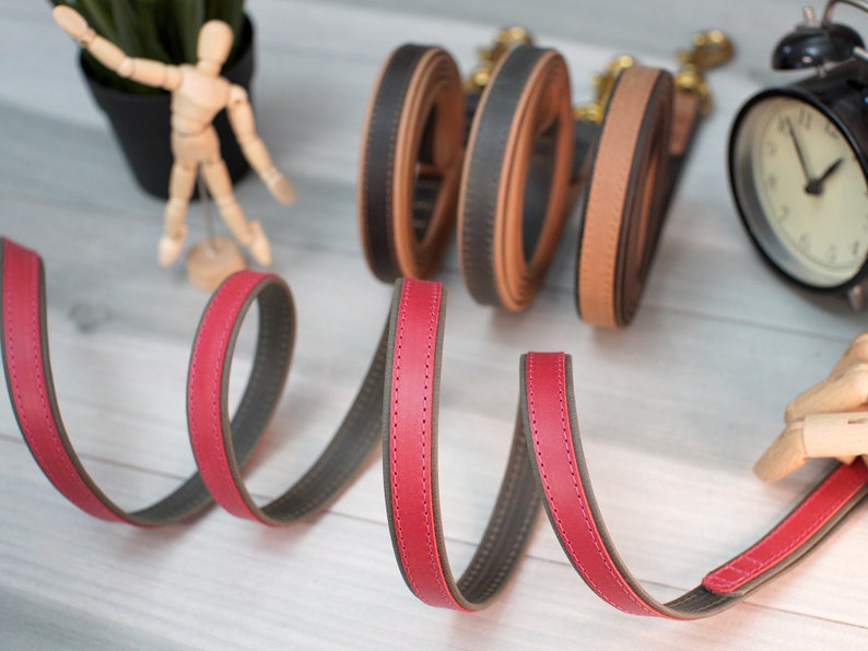 Leather Dog Leash, 5 Foot Dog Leash with Handle, Personalized Dog Leash for Boy Girl Dogs, Durable Leather Dog Lead with Name, Puppy Leash