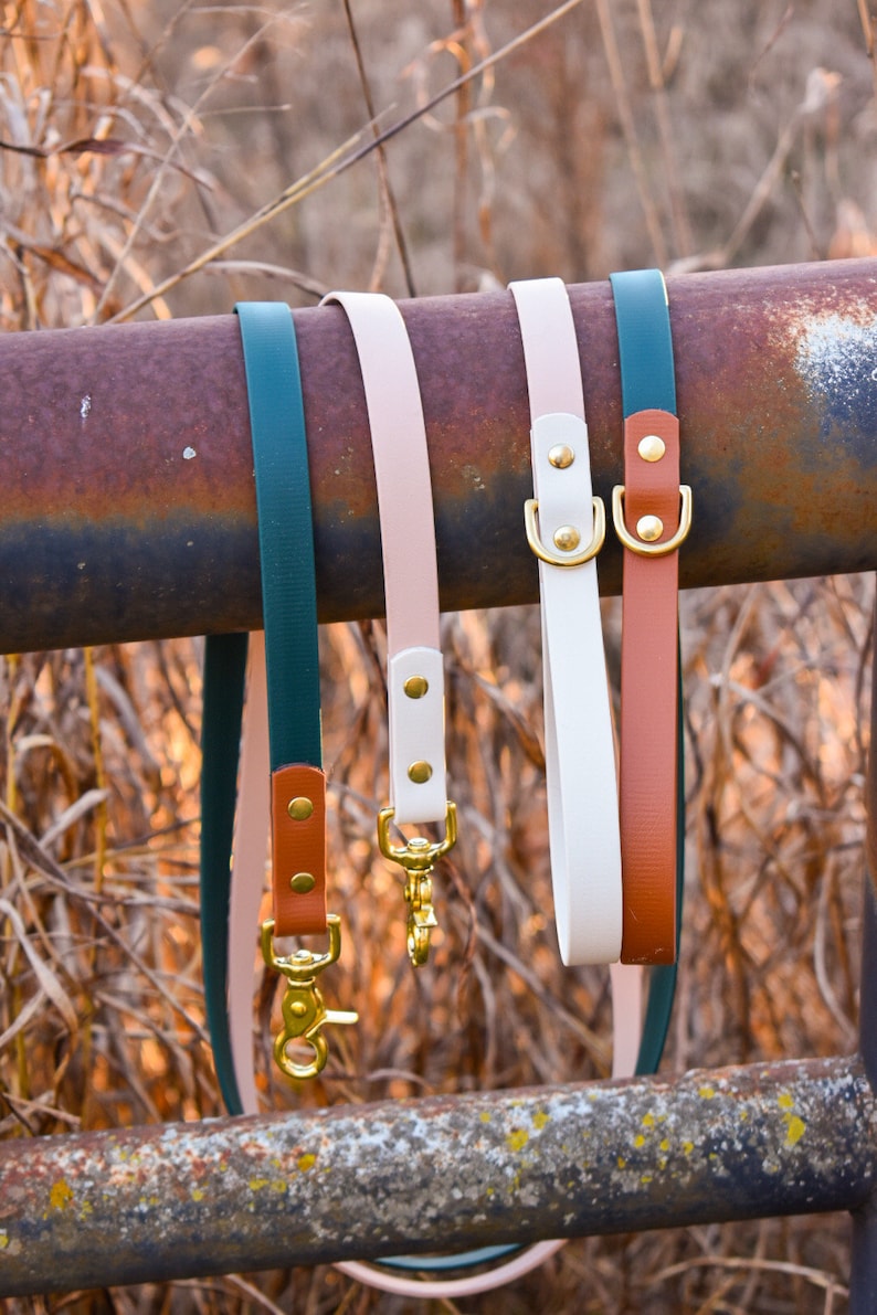 Classic Leash: “the Explorer” with Optional Traffic Handle