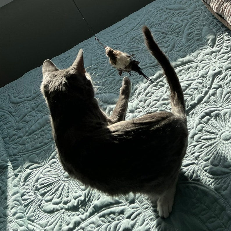 Cat Toy Natural Buffalo Hair and Wool Magpie - Bird like Teaser Wand / Pole Attachment / Refill