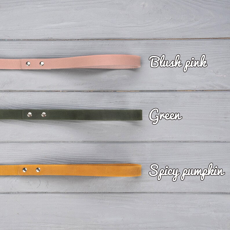 Dog Leash, Leather Dog Leash, Dog Accessories for Boy or Girl, Personalized dog leash, Dog name plate, Strong Leather Dog Leash, dog lead