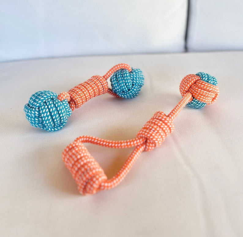Salmon Spiral Tug Rope for Dog