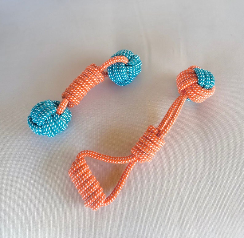 Salmon Spiral Tug Rope for Dog