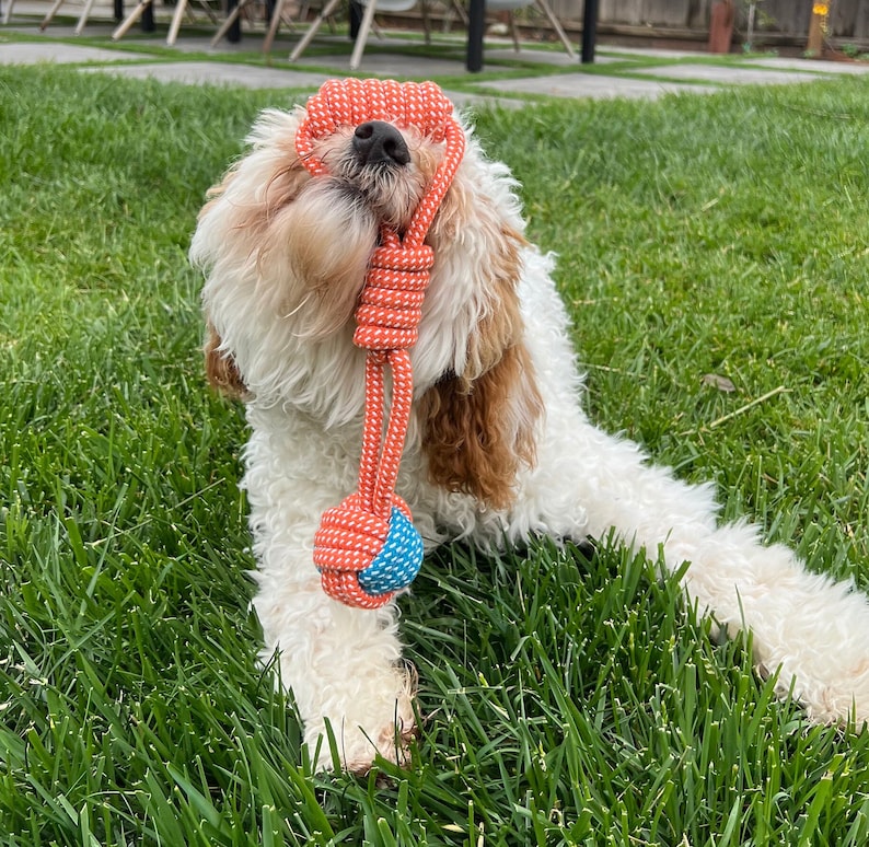Salmon Spiral Tug Rope for Dog