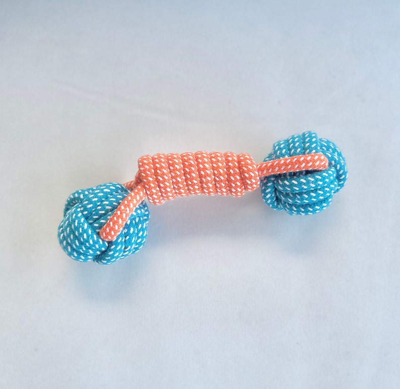 Salmon Spiral Tug Rope for Dog