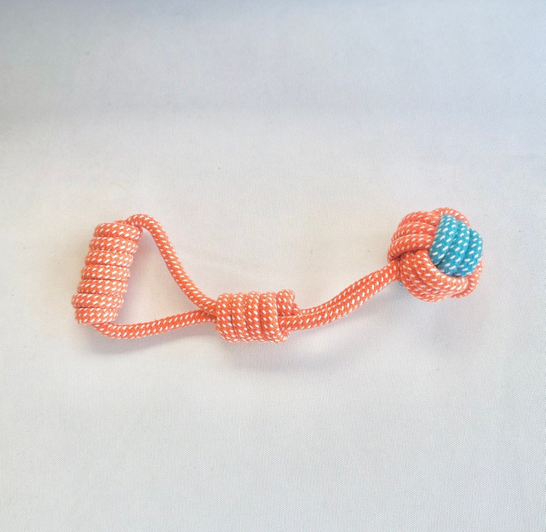 Salmon Spiral Tug Rope for Dog